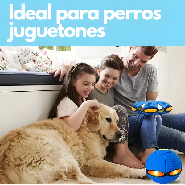 Pelota Magica Para Niño y Perros